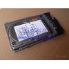 Shanghai   IBM  Server原装 Hard disk   146G SCSI Hard disk   40K1024 39R7310 26K5822
