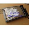Shanghai   IBM Server Hard disk   146G Hard disk   10K 146.8G 80 pin  热插拔 SCSI Hard disk   32P0750 32P0760