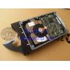Shanghai   IBM Server Hard disk   146G Hard disk   10K 146.8G 80 pin  热插拔 SCSI Hard disk   08K0363 32P0760