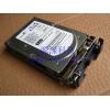 Shanghai   SUN  Server  Hard disk   146G SCSI 10K 3.5 热插拔 540-6450 390-0276