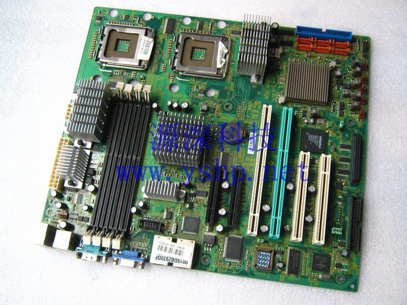 上海源深科技 Shanghai   微星 5000V Master  Server mainboard 双路 771 XEON 至强mainboard  高清图片