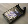 Shanghai   IBM 原装 pSeries 36G 10K 阵列柜 SCSI Hard disk   08K0292 09P3826