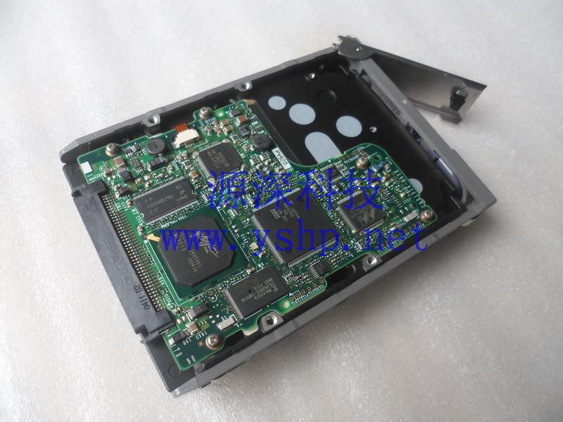 上海源深科技 Shanghai   SUN 原装 36G SCSI Hard disk   X5243A/X5244A MAP3367NSUN36G 5405462-01 高清图片